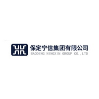 Ningxin Group Logo
